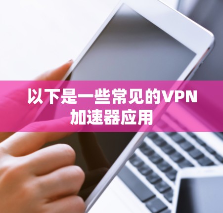 以下是一些常见的VPN加速器应用 以下是一些常见的VPN加速器应用