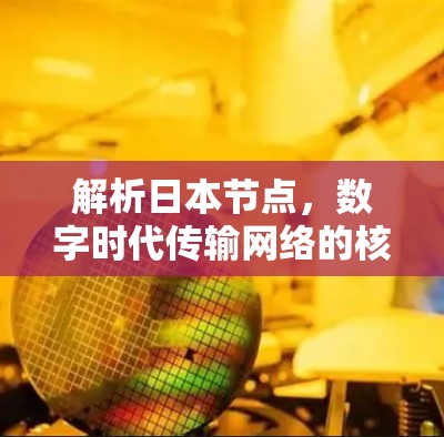 解析日本节点，数字时代传输网络的核心