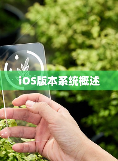 iOS版本系统概述 iOS版本系统概述