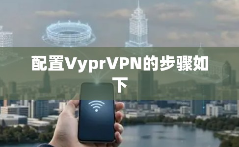 配置VyprVPN的步骤如下
