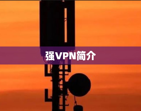 强VPN简介 强VPN简介