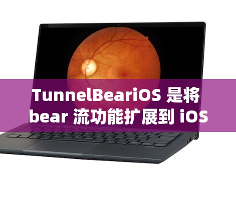 TunnelBeariOS 是将 bear 流功能扩展到 iOS 系统的工具，用户可以通过此工具在苹果设备上运行 bear 流，进行编程、开发或测试。以下是该工具的主要功能及其使用方法