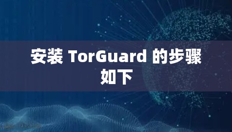 安装 TorGuard 的步骤如下