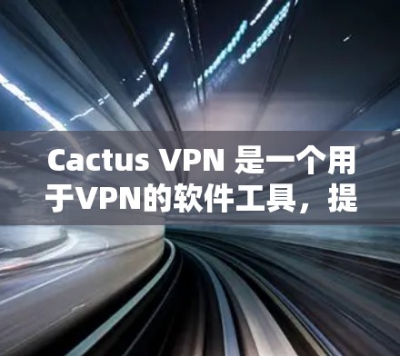 Cactus VPN 是一个用于VPN的软件工具，提供多种端点限制和加密选择，以增强数据安全和用户体验。以下是对 Cactus VPN Windows 版本的详细说明