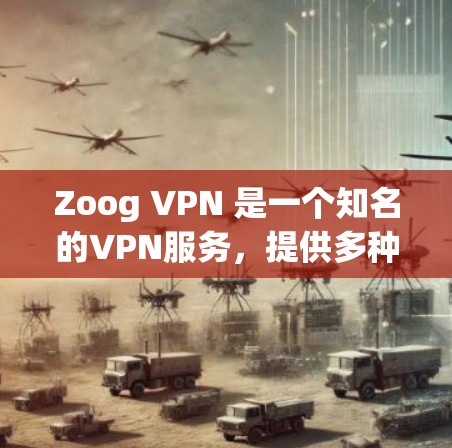 Zoog VPN 是一个知名的VPN服务，提供多种选择，适合不同需求的用户。以下是关于Zoog VPN 的推荐