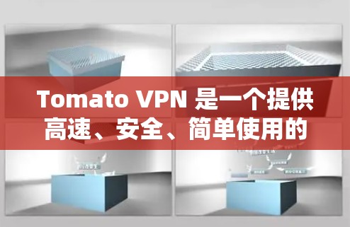 Tomato VPN 是一个提供高速、安全、简单使用的VPN服务。它允许用户通过互联网访问任何网站，同时保护数据不受未经授权访问的风险