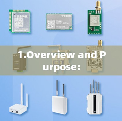 1.Overview and Purpose:
