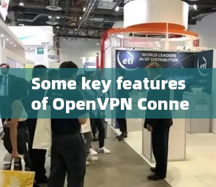 Some key features of OpenVPN Connect include: Some key features of OpenVPN Connect include: