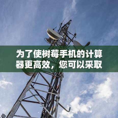 为了使树莓手机的计算器更高效，您可以采取以下步骤