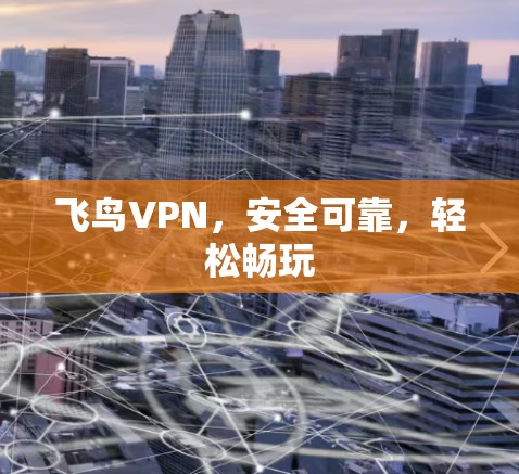 飞鸟VPN,安全可靠,轻松畅玩 飞鸟VPN,安全可靠,轻松畅玩