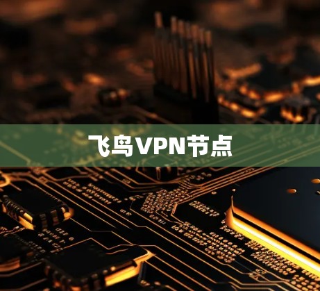 飞鸟VPN节点