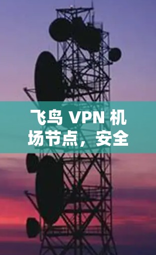 飞鸟 VPN 机场节点,安全出行的智慧选择 飞鸟 VPN 机场节点,安全出行的智慧选择