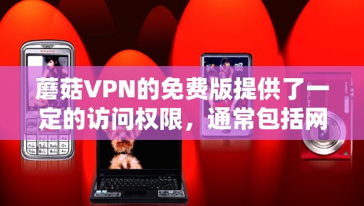 蘑菇VPN的免费版提供了一定的访问权限，通常包括网络连接、流量和存储功能，但具体是否免费需检查其官方网站。建议