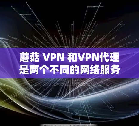 蘑菇 VPN 和VPN代理是两个不同的网络服务，各自适合不同的用户需求。以下是对它们的详细分析