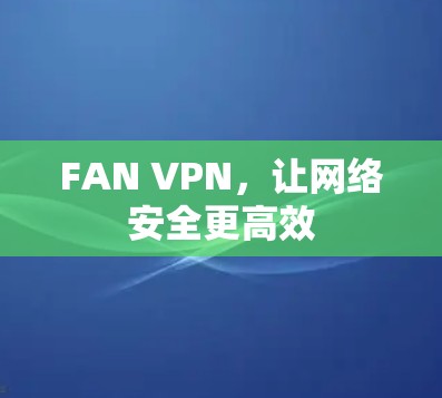 FAN VPN,让网络安全更高效 FAN VPN,让网络安全更高效