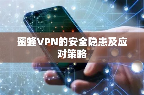 蜜蜂VPN的安全隐患及应对策略 蜜蜂VPN的安全隐患及应对策略