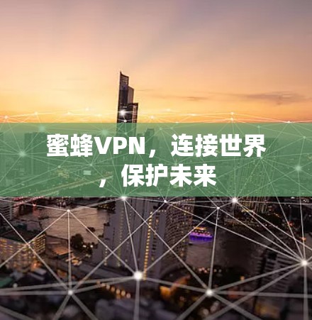 蜜蜂VPN，连接世界，保护未来