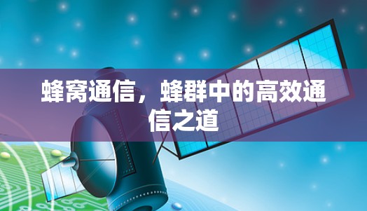 蜂窝通信，蜂群中的高效通信之道