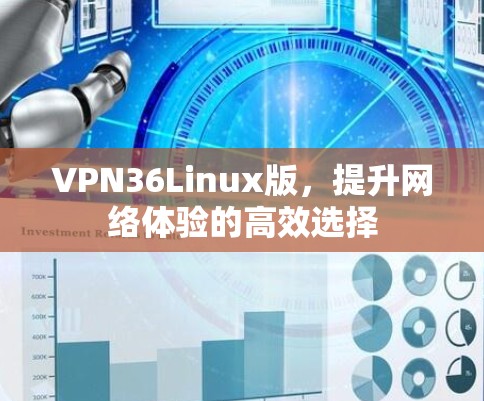 VPN36Linux版，提升网络体验的高效选择