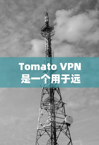 Tomato VPN 是一个用于远程访问互联网的网络加速器工具，支持 IP 地址转换、IP 分配、多设备连接、多端口和多端口同时连接等功能。以下是使用 Tomato VPN 进行网络连接的基本步骤