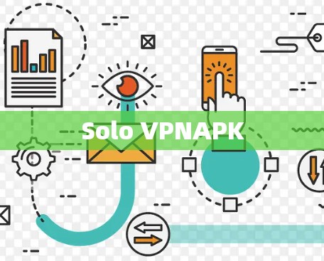 Solo VPNAPK