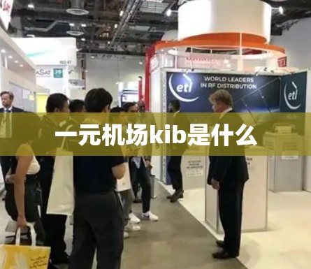 一元机场kib是什么