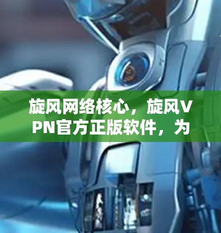 旋风网络核心，旋风VPN官方正版软件，为您打造安全可靠网络体验