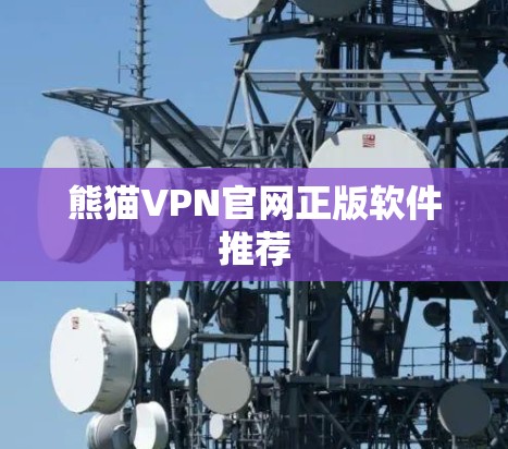熊猫VPN官网正版软件推荐
