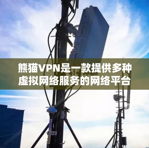 熊猫VPN是一款提供多种虚拟网络服务的网络平台，旨在帮助用户访问其他国家的网络服务。以下是关于熊猫VPN的功能评测