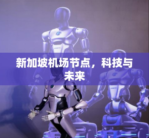 新加坡机场节点,科技与未来 新加坡机场节点,科技与未来