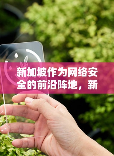新加坡作为网络安全的前沿阵地,新加坡VPN服务器的崛起与挑战 新加坡作为网络安全的前沿阵地,新加坡VPN服务器的崛起与挑战