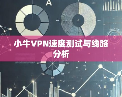 小牛VPN速度测试与线路分析