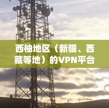 西柚地区（新疆、西藏等地）的VPN平台和地区网络较为发达，提供了多种VPN选择。以下是一些 commonly used 的 VPN 平台和平台类型，供您参考