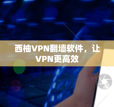西柚VPN翻墙软件,让VPN更高效 西柚VPN翻墙软件,让VPN更高效