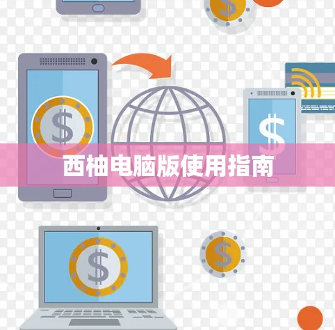 西柚电脑版使用指南 西柚电脑版使用指南