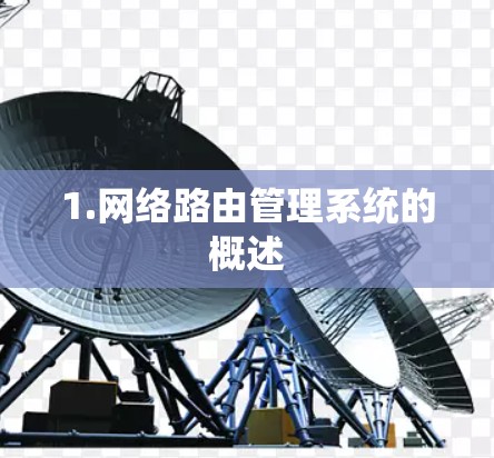 1.网络路由管理系统的概述