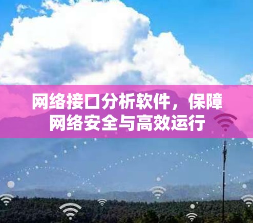 网络接口分析软件，保障网络安全与高效运行