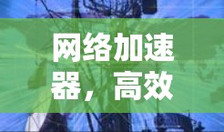 网络加速器，高效、安全，轻松提升网络速度