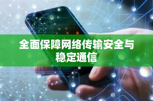 全面保障网络传输安全与稳定通信
