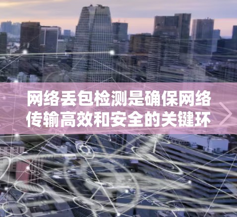 网络丢包检测是确保网络传输高效和安全的关键环节。以下是对丢包检测的详细总结和应用建议