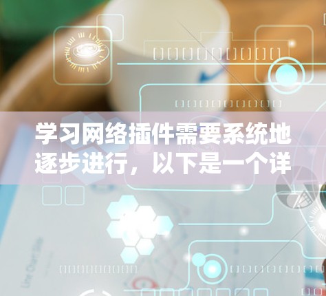 学习网络插件需要系统地逐步进行，以下是一个详细的计划，帮助你系统地掌握网络插件