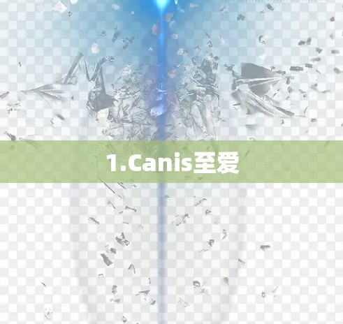 1.Canis至爱