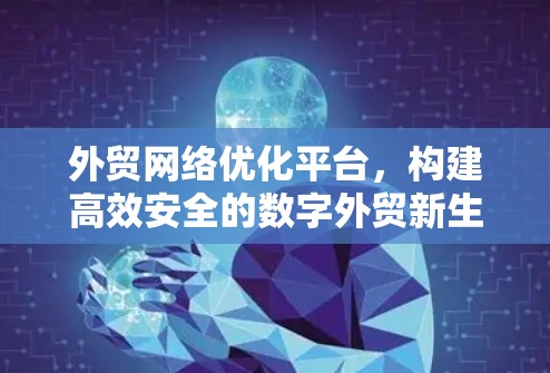 外贸网络优化平台，构建高效安全的数字外贸新生态