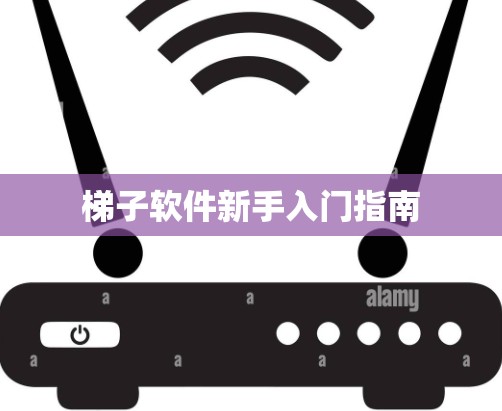 梯子软件新手入门指南
