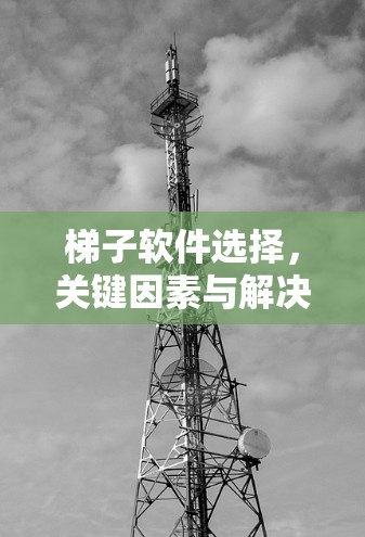 梯子软件选择，关键因素与解决方案