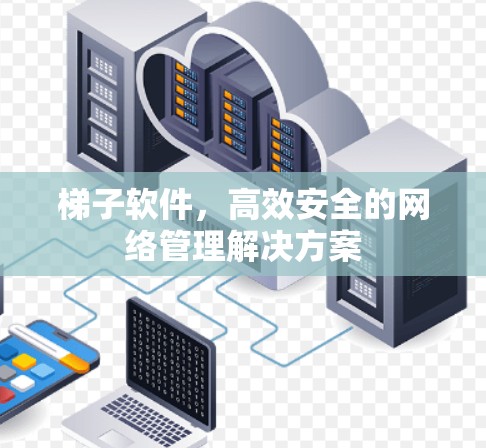 梯子软件，高效安全的网络管理解决方案