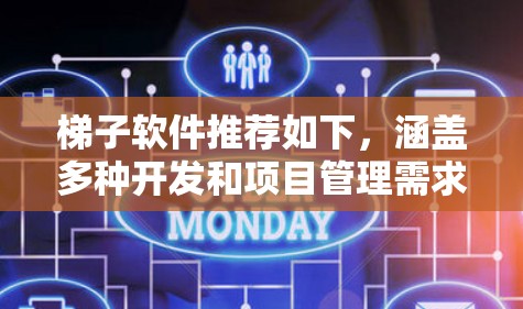 梯子软件推荐如下，涵盖多种开发和项目管理需求