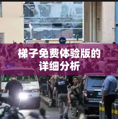 梯子免费体验版的详细分析 梯子免费体验版的详细分析