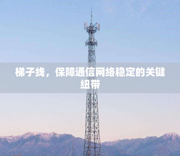 梯子线,保障通信网络稳定的关键纽带 梯子线,保障通信网络稳定的关键纽带