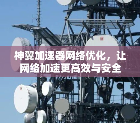 神翼加速器网络优化，让网络加速更高效与安全